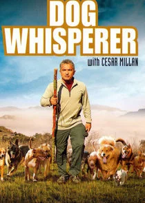 Affiche de César, l'homme qui parle aux chiens