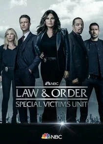 Law & Order: Special Victims Unit poster