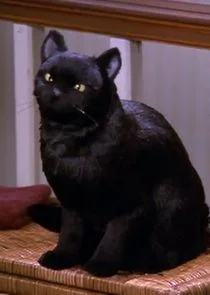 Salem Saberhagen