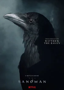 Matthew the Raven
