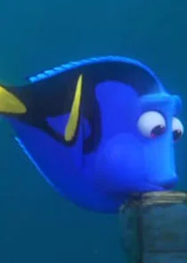 Dory