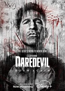 Frank Castle / The Punisher