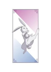 Usagi