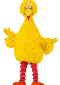 Big Bird