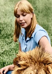 Katy Donell