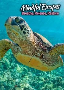 Plakat Mindful Escapes: Breathe, Release, Restore