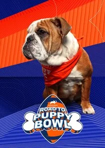 Road to Puppy Bowl poster