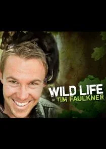 The Wild Life of Tim Faulkner
