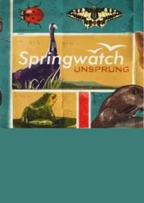 Plakat Springwatch Unsprung