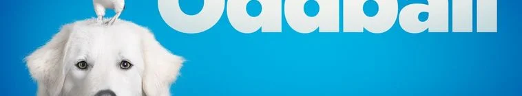 Galería 2