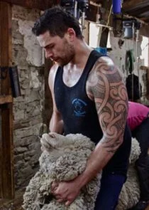 Póster de Shearing Gang