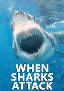 Plakat When Sharks Attack