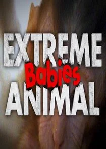 Plakat Extreme Animal Babies