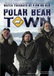 Póster de Polar Bear Town
