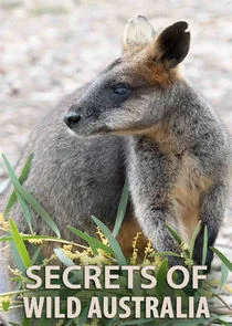 Póster de Secrets of Wild Australia