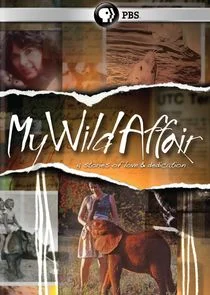Póster de My Wild Affair