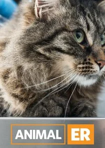 Animal ER afişi