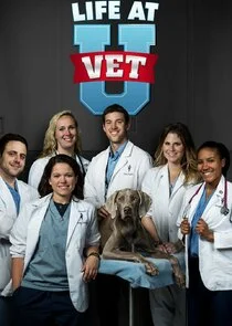 Vet School - Die jungen Tierärzte Poster