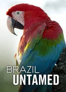 Pôster de Brasil Selvagem