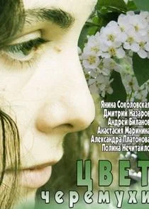 ÄÂ¦ÄË›ÄÂµĹâ€š Ĺâ€ˇÄÂµĹâ‚¬Ĺâ€ÄÄ˝ĹÂĹâ€¦ÄÂ¸