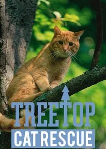 Treetop Cat Rescue Poster