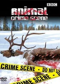 Plakat Animal Crime Scene