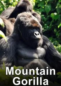 Póster de Mountain Gorilla: Mission Critical