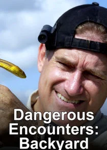 Póster de Dangerous Encounters: Backyard Monsters