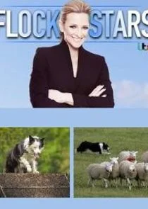 Flockstars