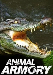 Pôster de Animal Armory