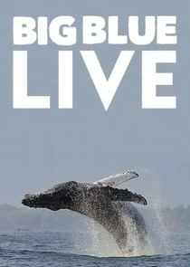 Poster di Big Blue