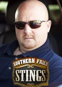 Affiche de Southern Fried Stings