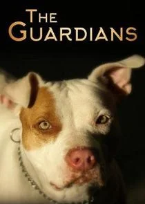 Affiche de The Guardians