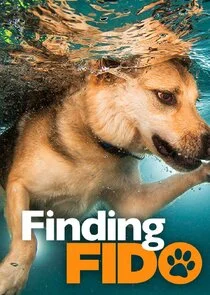Affiche de Finding Fido