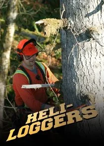 Affiche de Les Bûcherons de l'impossible