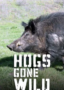 Affiche de Hogs Gone Wild