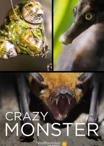 Póster de Crazy Monster