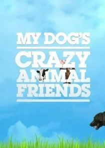 Póster de My Dog's Crazy Animal Friends
