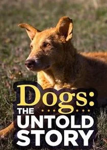 Póster de Dogs: The Untold Story
