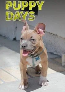 Affiche de Puppy Days