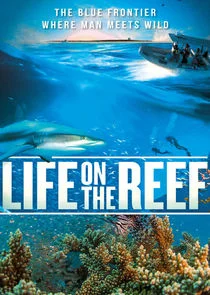 Poster di Life on the Reef