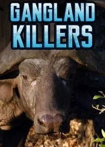 Póster de Gangland Killers