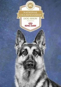 Pôster de AKC National Championship Dog Show