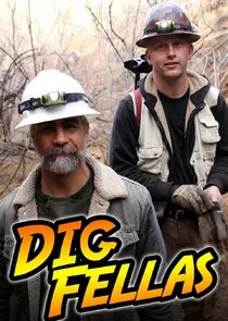 Affiche de Digfellas