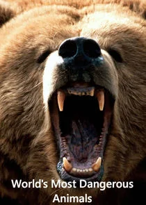 Póster de World's Most Dangerous Animals
