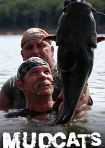 Affiche de Mudcats