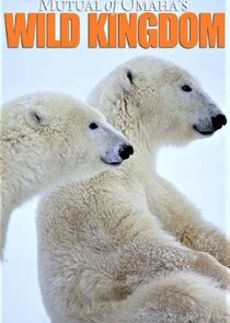 Póster de Mutual of Omaha's Wild Kingdom
