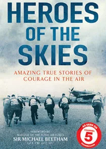 Plakat Heroes of the Skies