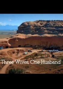 Póster de Three Wives, One Husband