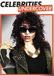 Celebrities Undercover Poster